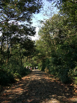 金华九峰山掠影