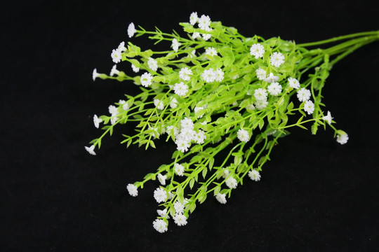 塑料小白白花花束