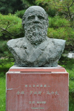 英国博物学家达尔文雕像