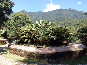 花坛风景