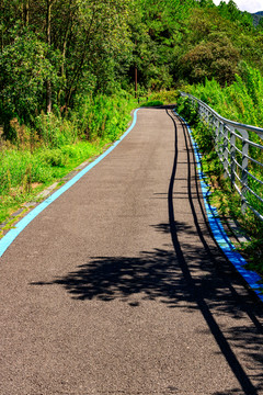 骑行小路