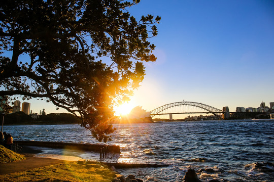 澳洲悉尼歌剧院和海港大桥黄昏
