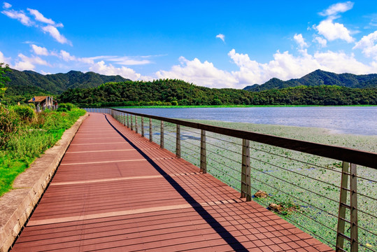 滨水休闲步道 湖边步道