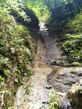 山泉 溪流