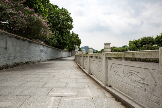 树叶路灯