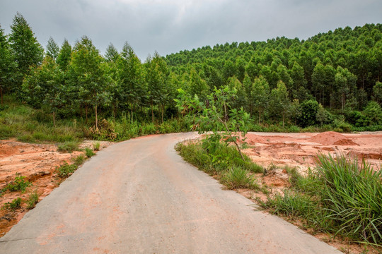 沙泥路马路