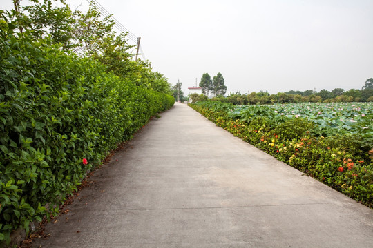 河岸景色