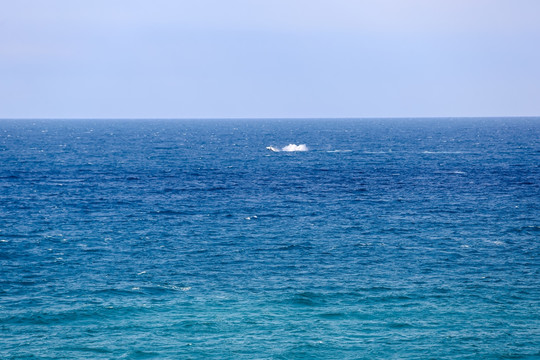 海洋