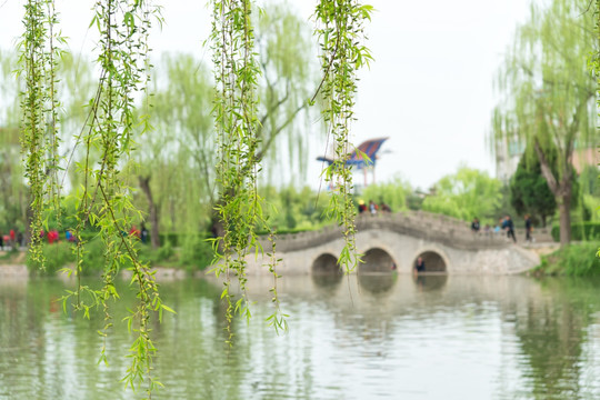 小桥流水