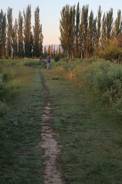 田间小路