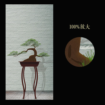 玄关画寿松