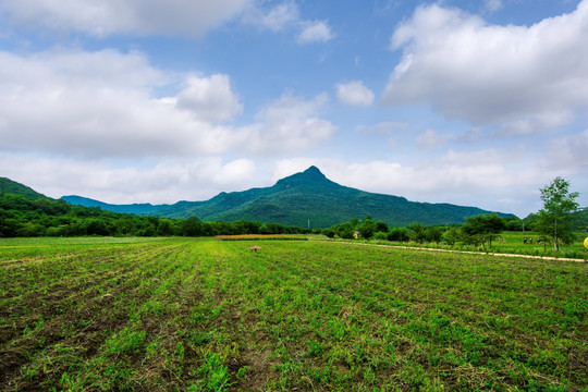 远山风光