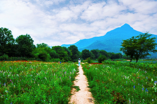 远山风景