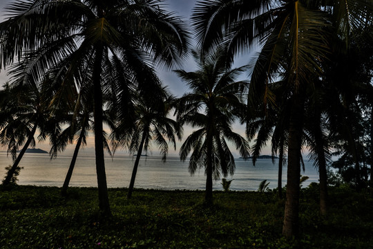 海南三亚三亚湾风景
