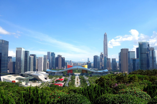 深圳全景