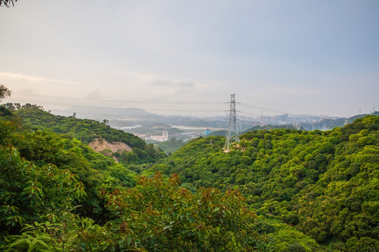 深圳梅林后山远眺