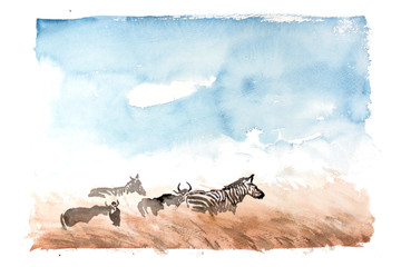手绘非洲草原斑马