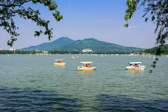 玄武湖公园风景