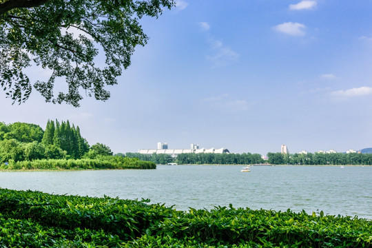 玄武湖公园风景