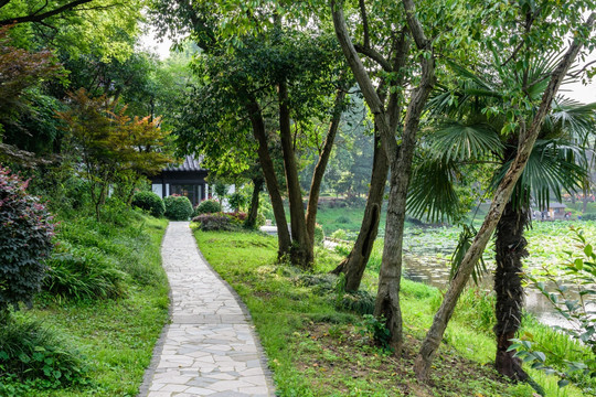 园林风景