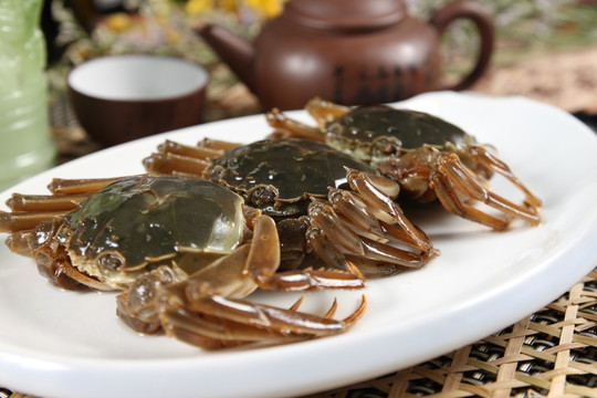 大纵湖醉毛蟹