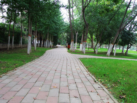 公园景观绿地