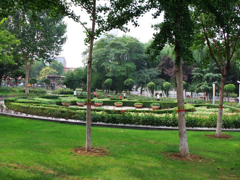 公园景色