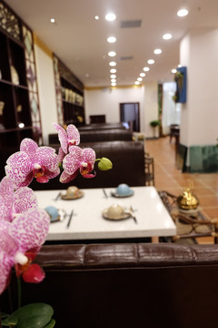 饭店环境