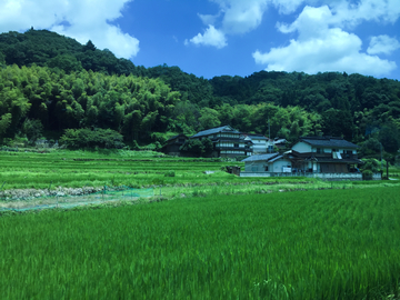 日本农村 乡村 民宿 房屋