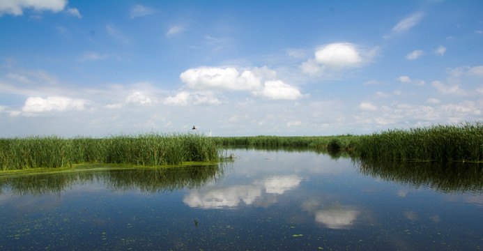 湿地自然保护区