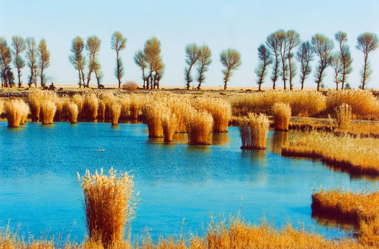 疏勒河流域湿地