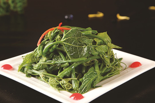 生态丝瓜黄