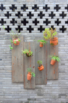 传统花格窗砖墙 盆栽植物装饰
