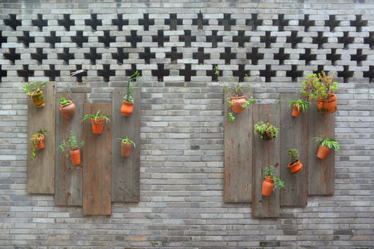传统花格窗砖墙 盆栽植物装饰