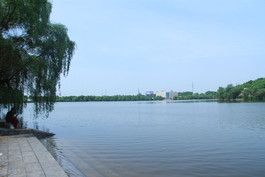 望城斑马湖公园