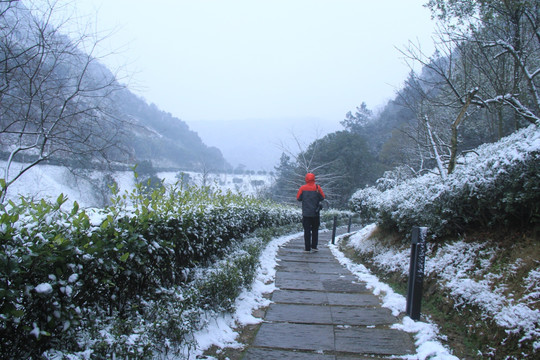 长沙梅溪湖桃花岭雪景