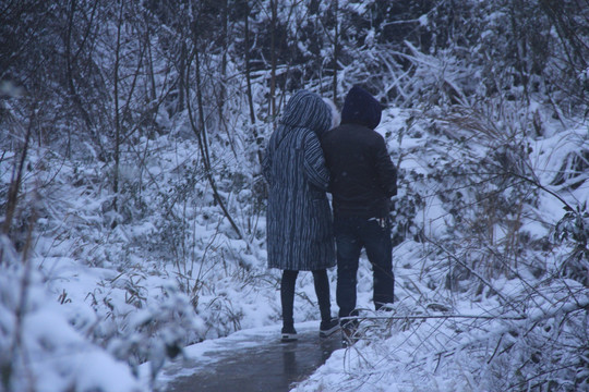 情侣在雪中散步