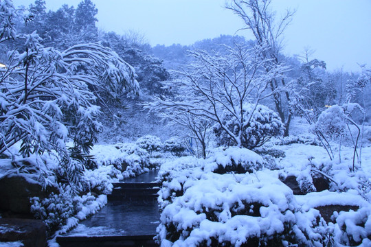 长沙梅溪湖桃花岭雪景