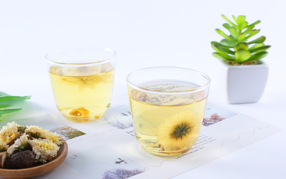 杭白菊