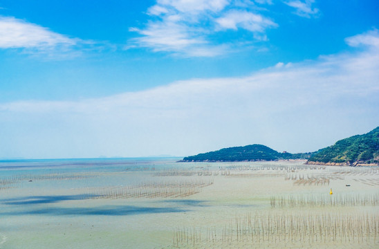 滩涂竹养殖 海带养殖 海上养殖