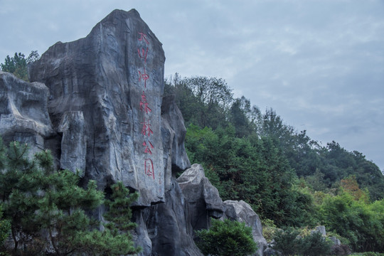 大山冲森林公园