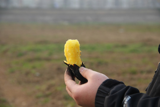烤焦的红薯