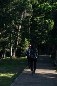 行走在杉树林木栈道上的游客
