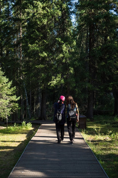 行走在杉树林木栈道上的两名游客