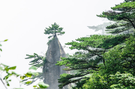 黄山梦笔生花美景