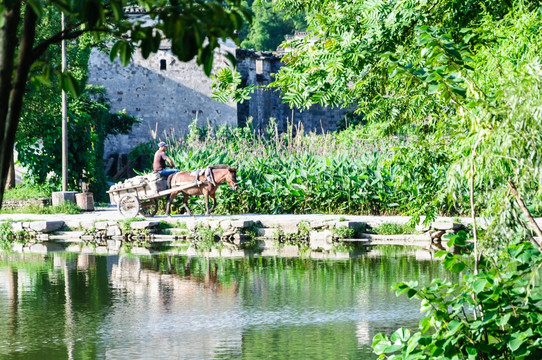 宏村南湖美景