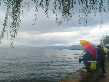 风雨无阻的钓鱼人