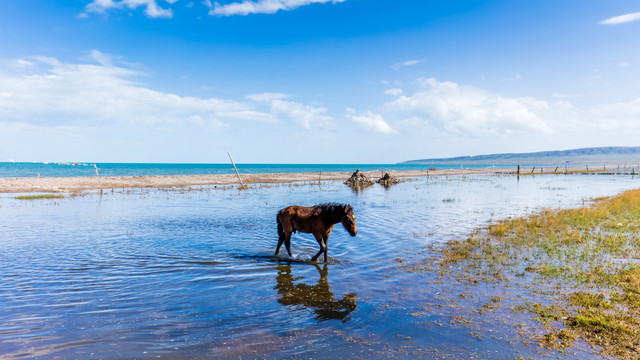 青海湖