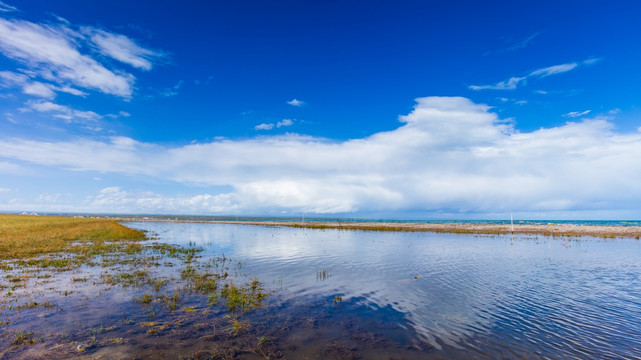 青海湖