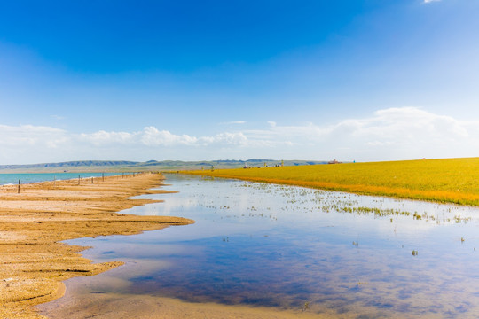 青海湖